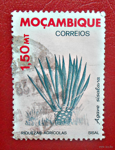 Мозамбик, 1985 год, флора, сельскохозяйственные растения