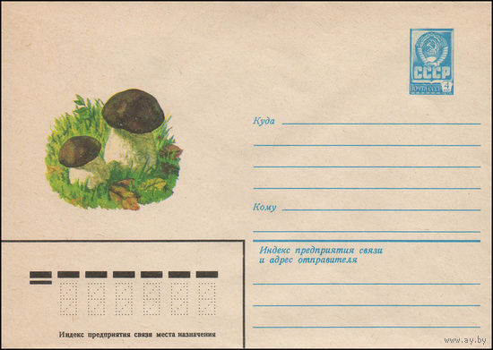 Художественный маркированный конверт СССР N 13439 (10.04.1979) [Белый гриб]