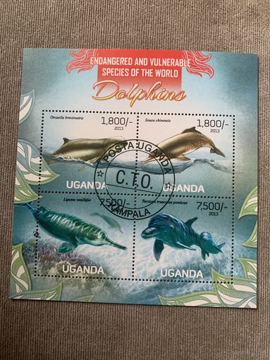 Уганда 2013. Дельфины