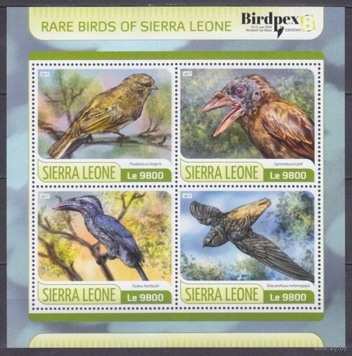 2017 Сьерра-Леоне 8630-8633KL Птицы - редкие птицы 11,00 евро