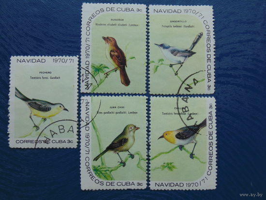 Тропические птицы Кубы. 1970г.