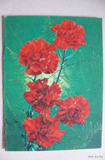 Костенко Г., Цветы; Телеграмма, 1983, двойная, подписана.