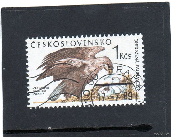 Чехословакия.Ми-3006. Белохвостый орел (Haliaeetus albicilla). Серия: Охрана природы. 1989.