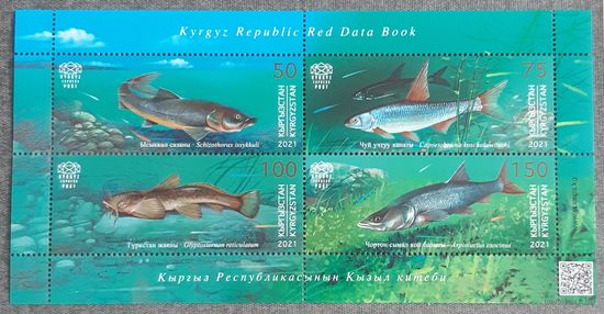 2021 Красная книга - Морская флора и фауна - рыбы - Кыргызстан