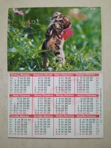 Карманный календарик . Котик. 2002 год