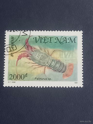 Вьетнам. 1991г. Морская фауна.