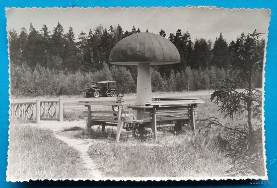 Фото на придорожной стоянке. 1940-50-е. 12х18 см.