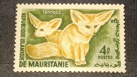 Мавритания 1960 Фауна Фенек чистая марка