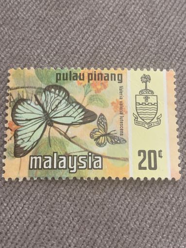 Малайзия. Бабочки. Valeria lutescens