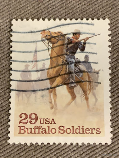 США. Buffalo Soldiers