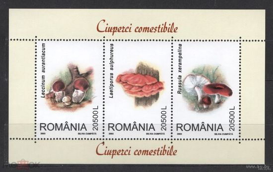 Румыния  2003. Грибы. Подосиновик, трутовик, сыроежка MNH