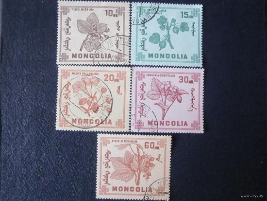 Монгольские ягоды 1968 (Монголия) 5 марок