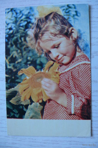 Томилина С., Красное лето; 1970, чистая (дети).