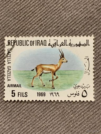 Ирак 1969. Газель. Марка из серии