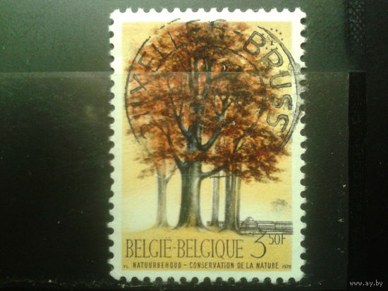 Бельгия 1970 Деревья в Ботаническом саду