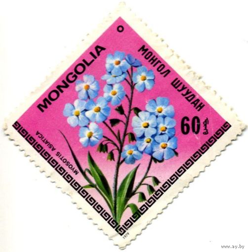 Марка МНР 1979 г. (по каталогу Mi:MN #1211), негаш. Цветы.  Myosotis Asiatica