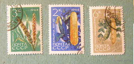 Флора, СССР, 1964 Кукуруза горох злаки