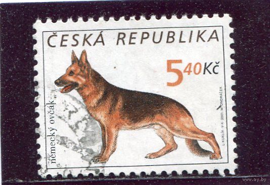 Чехия. Породы собак